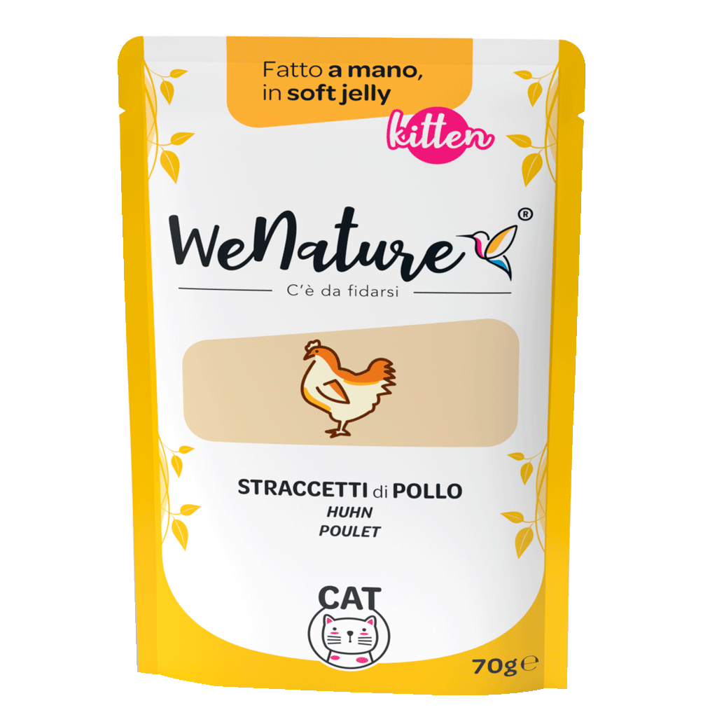 Cibo umido per gattini