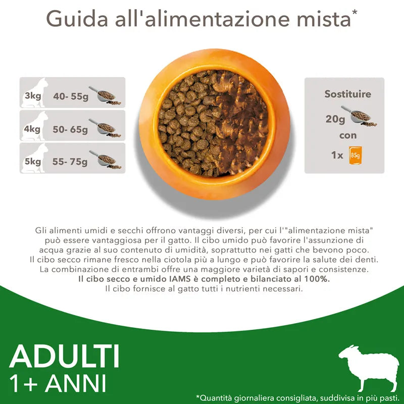 Iams Adult Con Agnello 10 Kg Cibo Secco Per Gatti