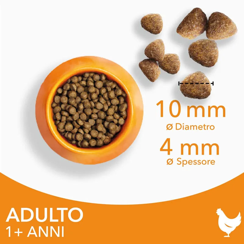 Iams Adult Con Pollo 10 Kg Cibo Secco Per Gatti