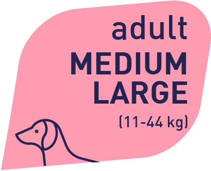 Prolife Sensitive Adult Agnello & Riso Medium/Large 10 Kg Cibo Secco Per Cani Adulti