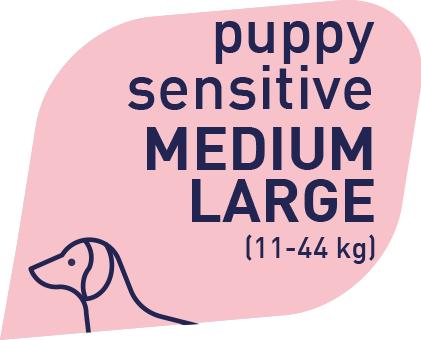 Prolife Grain Free Puppy Sensitive Maiale & Patate Medium/Large 10 Kg Cibo Secco Per Cuccioli