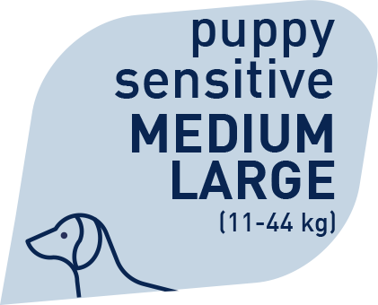 Prolife Grain Free Puppy Sensitive Sogliola & Patate Medium/Large 10 Kg Cibo Secco Per Cuccioli