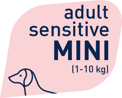 Prolife Grain Free Adult Sensitive Maiale & Patate Mini 7 Kg Cibo Secco Per Cani Di Piccola Taglia