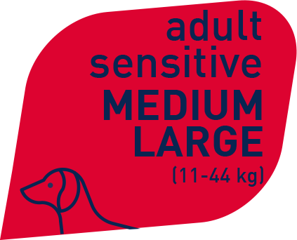 Prolife Grain Free Adult Sensitive Manzo & Patate Medium/Large 10 Kg Cibo Secco Per Cani