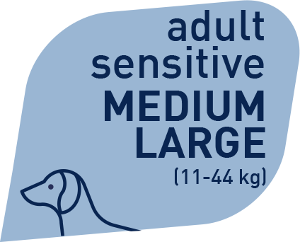 Prolife Grain Free Adult Sensitive Sogliola e Patate Medium/Large 10 Kg Per Cani Adulti
