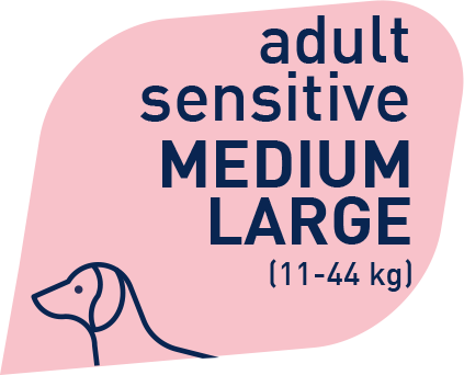 Prolife Grain Free Adult Sensitive Pork & Potato Medium/Large 10 Kg Cibo Secco Per Cani