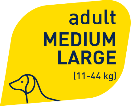 Prolife Smart Adult Pollo & Riso Medium/Large 12 Kg Cibo Secco Per Cani