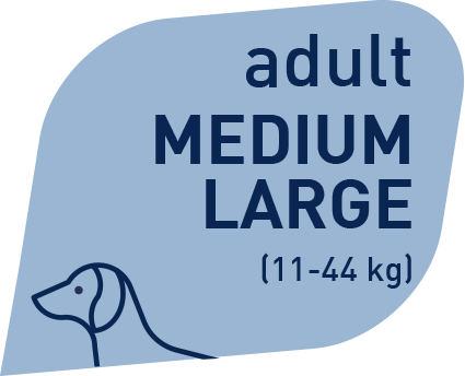 Prolife Smart Adult Trota & Riso Medium/Large 12 Kg Per Cani Adulti