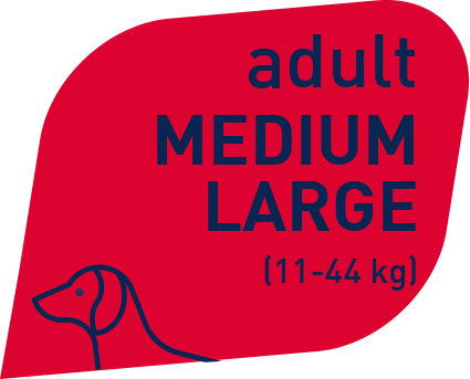 Prolife Smart Adult Manzo & Riso Medium/Large 12 Kg Cibo Secco Per Cani