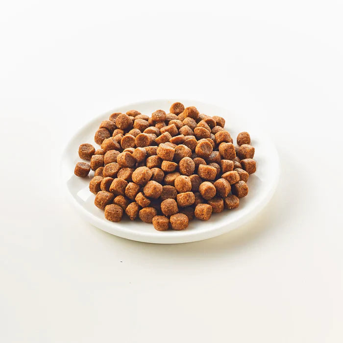 Kattovit Gastro Mangime Secco Per Gatti Adulti
