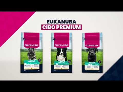 Eukanuba Adult Large Breed Al Pollo 18 Kg Per Cani Di Taglia Grande (15 + 3 Kg Gratis)